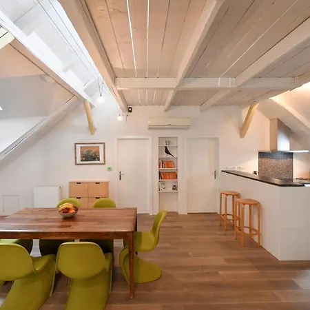 Our Loft At Charles Bridge Apartment